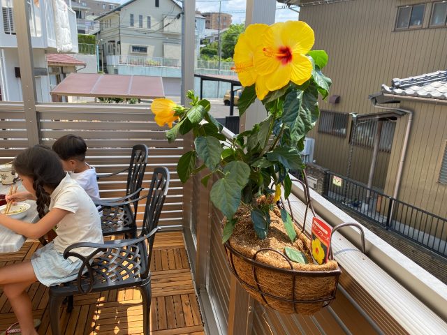天気の良い日はこれだね！