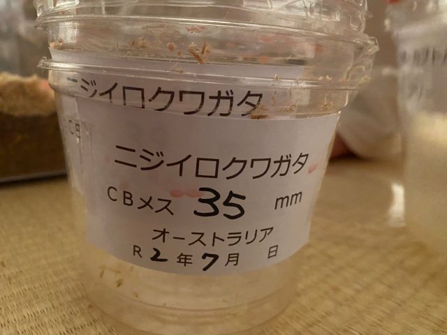 新事業発表？？？